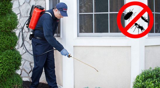 Evka 7 Böcek İlaçlama böcek ilaçlama ve haşere kontrolü — ilaclama-tr.com